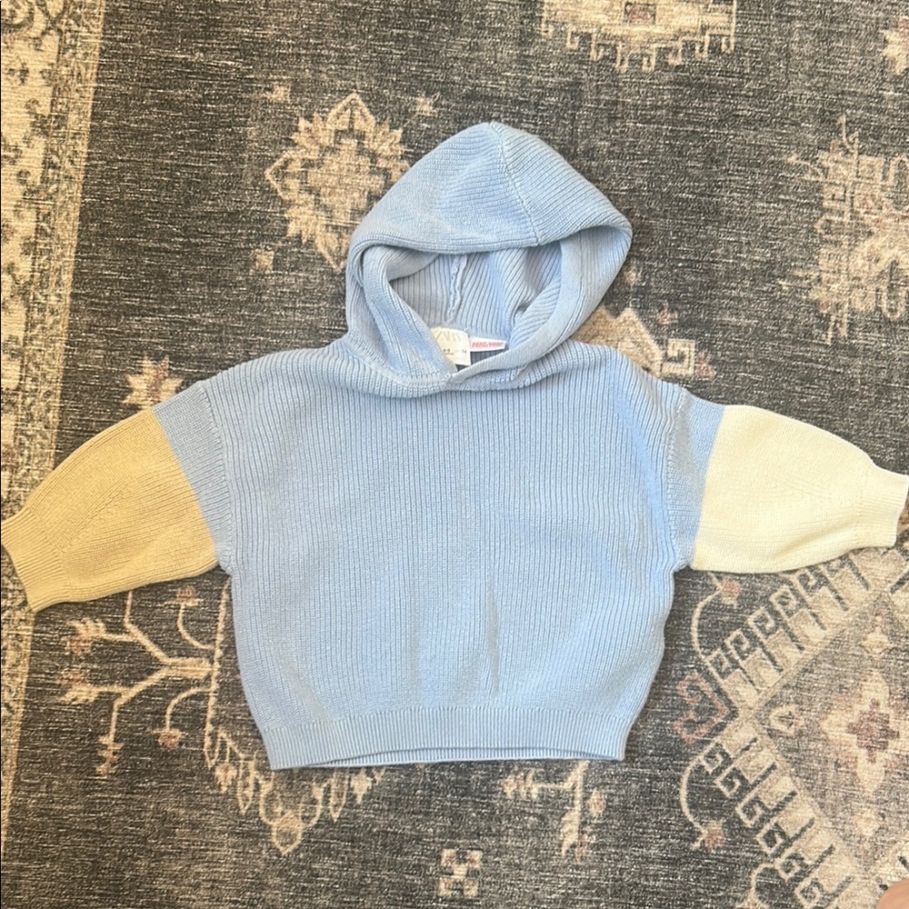 Zara Blue and Cream Hooded Sweater